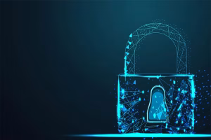 Decentralized AI server architecture data encryption privacy protocols